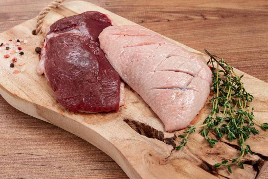 Magret de canard