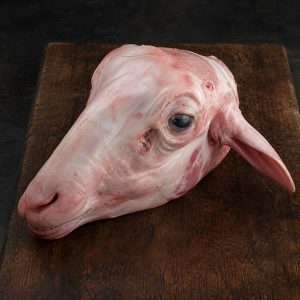 Tête d'agneau